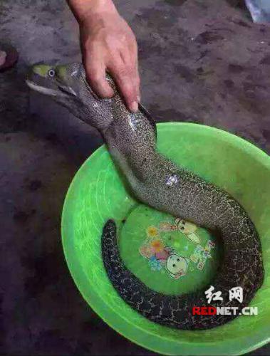 ����һˮ��(k��)���һ�l�����~��������� ������